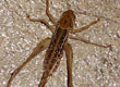 Natura przyroda — zdjęcie 44
