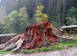 Natura przyroda — zdjęcie 54