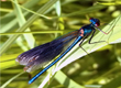 Natura przyroda — zdjęcie 66