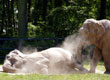 Mieszkańcy ZOO — zdjęcie 17