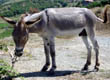 Albania — zdjęcie 5